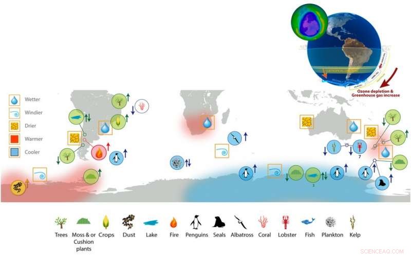 How Ozone Depletion Accelerates Climate Change in the Southern Hemisphere