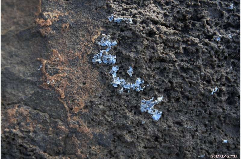 Madeira Researchers Identify Novel  Plasticrust  Marine Pollution