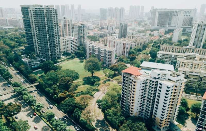 Circular Cities Worldwide: How Green Infrastructure Drives Sustainable Urban Living