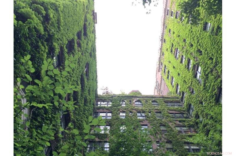 Circular Cities Worldwide: How Green Infrastructure Drives Sustainable Urban Living