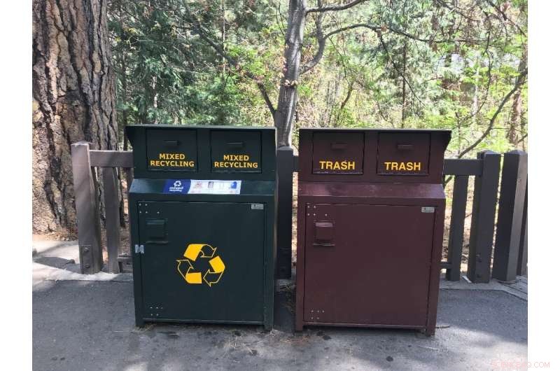 Cutting Waste in U.S. National Parks: Proven Strategies for Sustainable Visitor Management