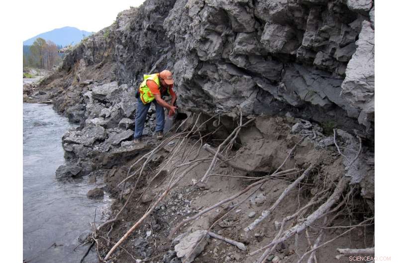 In-Depth Analysis of the 2014 Oso Landslide: Findings and Implications