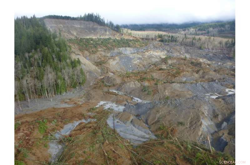 In-Depth Analysis of the 2014 Oso Landslide: Findings and Implications
