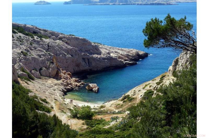 Marseille Temporarily Bans Swimming on Several Beaches Amid Pollution Concerns