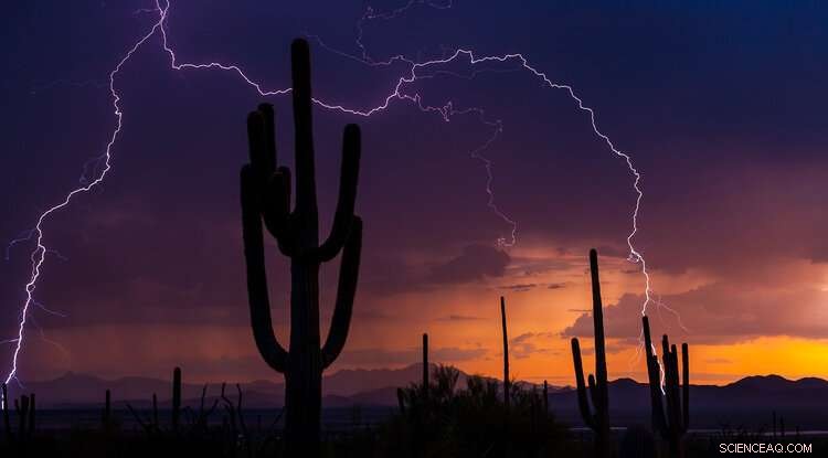 Monsoon Season Timing: Experts Explain a Late Start