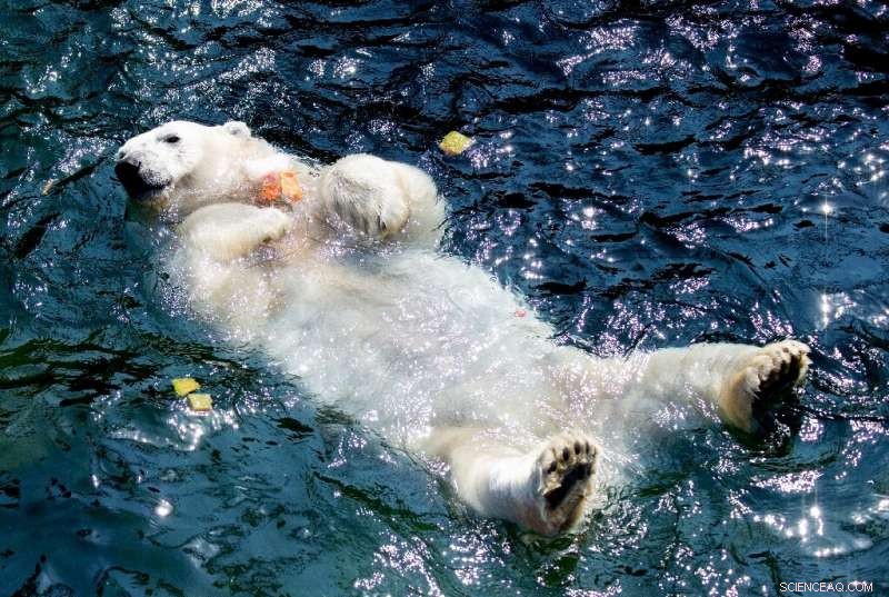 Europe on High Alert as Record-Breaking Heatwave Intensifies