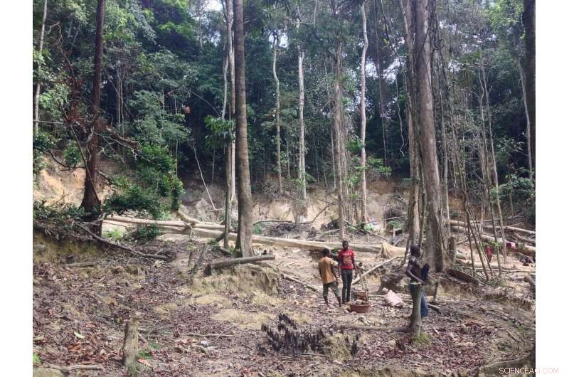 Rethink Africa’s Environmental Regulations: New Study Calls for Tailored Standards