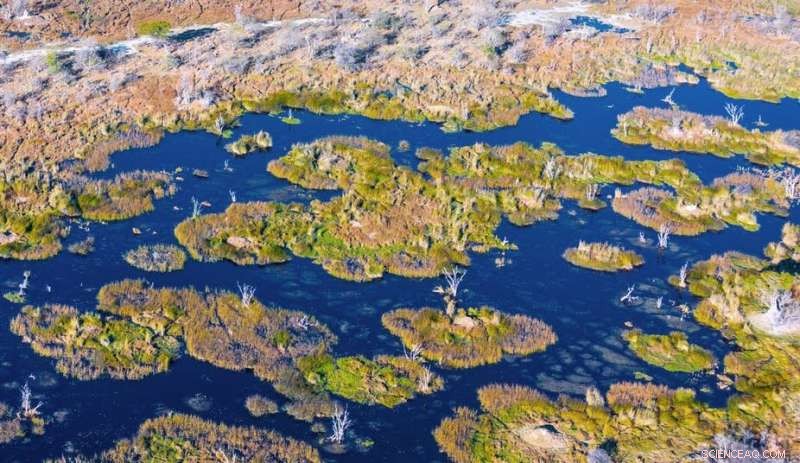 Assessing Africa s Environmental Landscape: Leading Nations and Those Facing Challenges