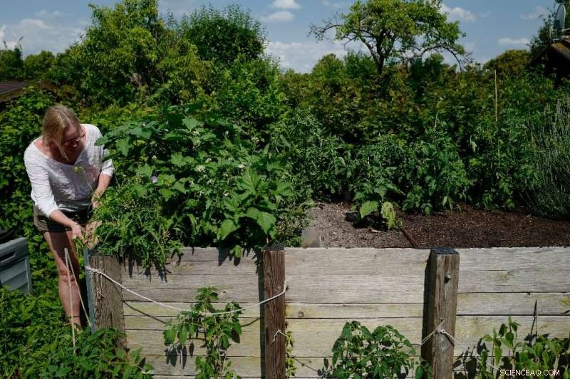 Berlin Gardeners Stand Strong Against Property Developers