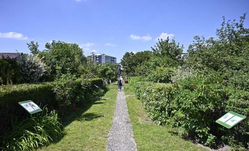 Berlin Gardeners Stand Strong Against Property Developers
