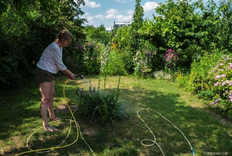 Berlin Gardeners Stand Strong Against Property Developers