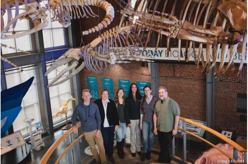 Old Whaling Logbooks Reveal Fresh Climate Insights