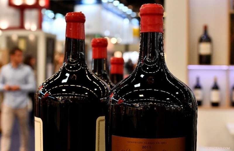 Heatwave Hits French Vineyards: Wineries Face Rising Costs