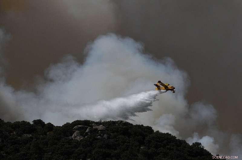 Spain s Wildfires Escalate as Heatwave Persists