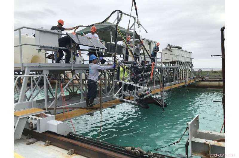 NJIT Conducts Largest Ever Simulation of the Deepwater Horizon Oil Spill