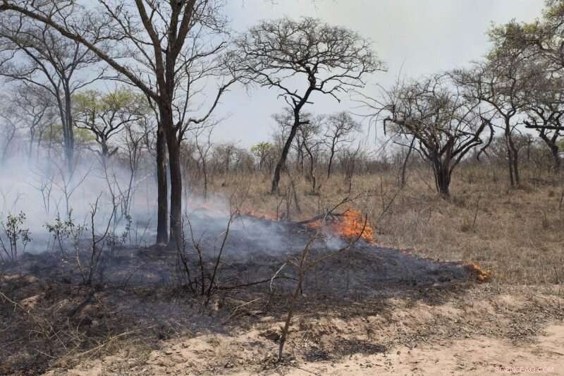 Higher Moisture Levels Drive Significant Reduction in African Wildfires, Study Shows