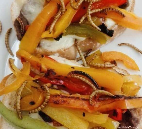 Researchers Propose Edible Insects as a Critical Solution to Preventing a Global Food Crisis