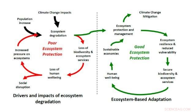 Nature-Based Solutions: Unlocking Climate Adaptation s Missing Ingredient