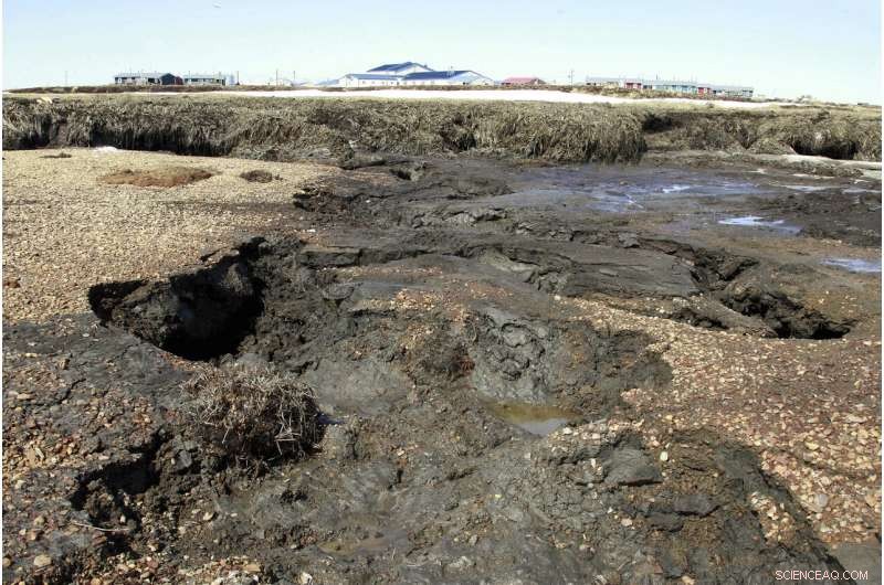 Alaska Sea Ice Melting Triggers Urgent Response from Residents and Scientists