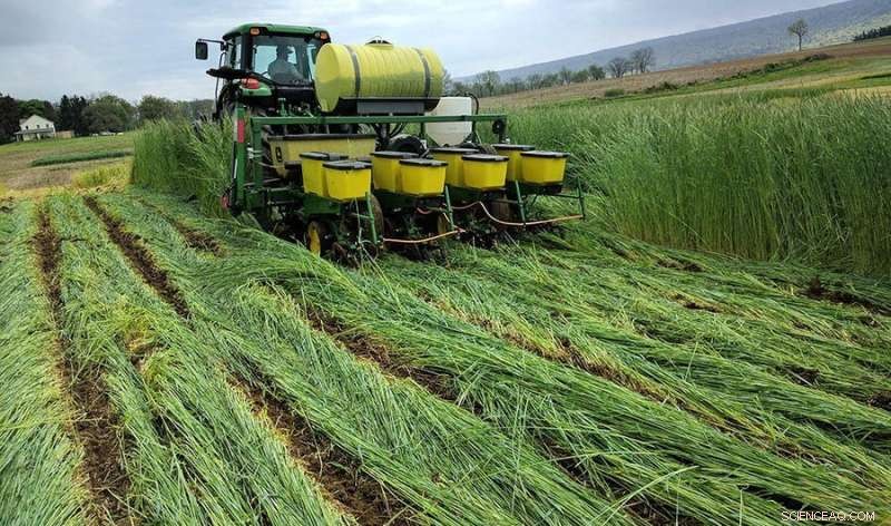 Green Cover Crops: A Proven Strategy to Combat Wet Spring Conditions