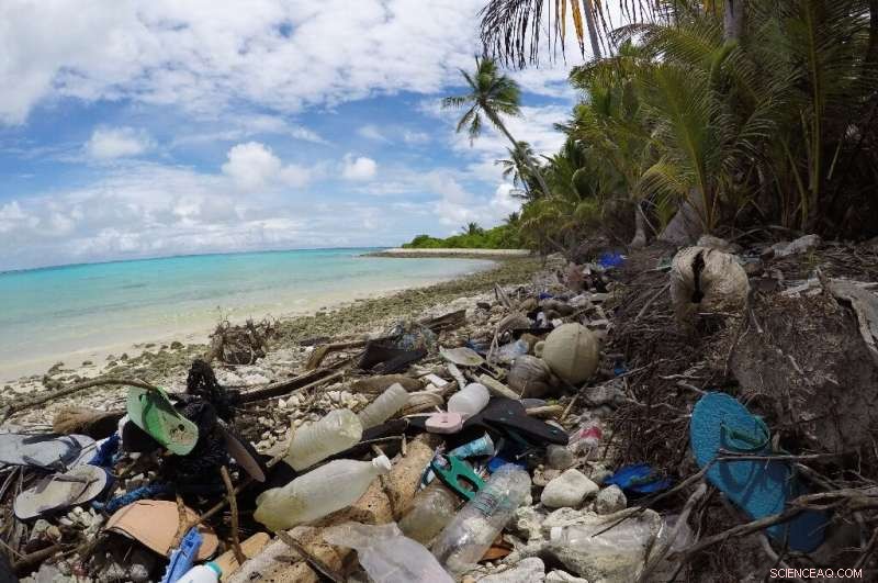 New Zealand Enforces Ban on Single-Use Plastic Bags with Strict Penalties