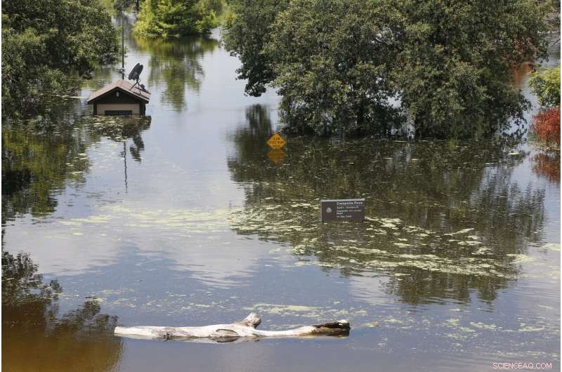 Heavy Rainfall Ends Southern Plains Drought, Restoring Water Levels