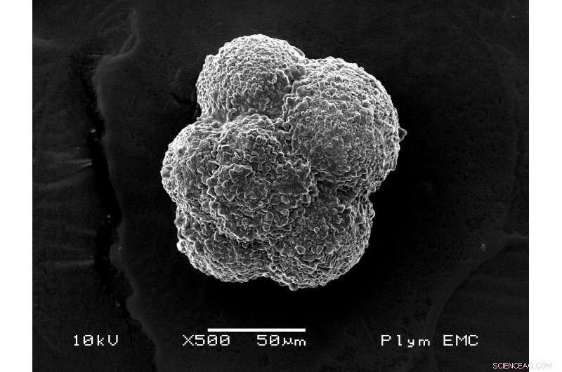 170 Million Years Ago: The Ocean s Pivotal Evolutionary Shift