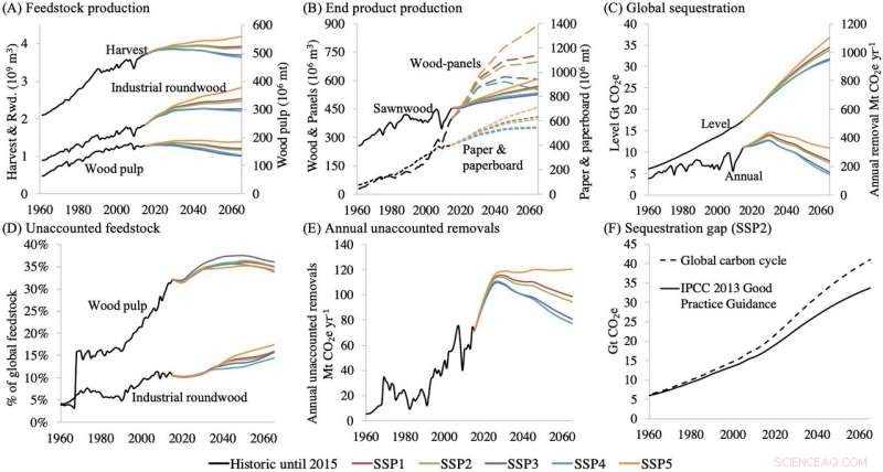Wood Products Sequester Less Than 1% of Global Carbon Emissions