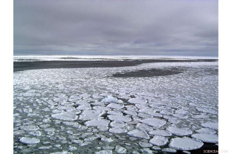 Antarctic Sea Ice Declines: From Record Highs to New Lows