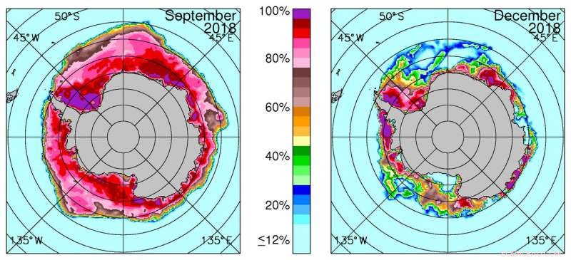 Antarctic Sea Ice Declines: From Record Highs to New Lows