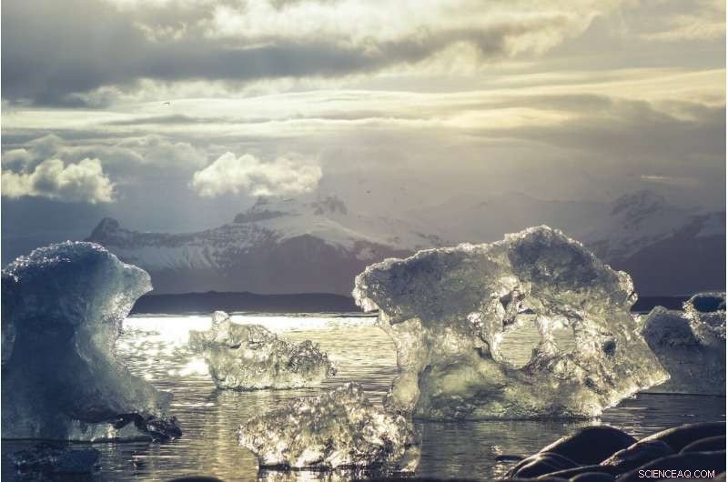 First-Ever Detection of Bromine Atoms in the Arctic Reveals Mercury Removal Pathway