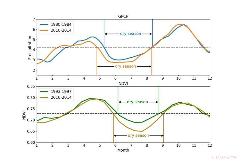 Congo Rainforest Faces Extended Summer Dry Season, Study Finds