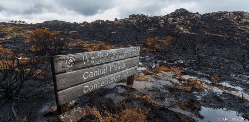 Assessing Climate Risks to World Heritage Sites: From Shark Bay Seagrass to Stone Age Scotland