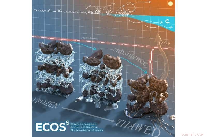 New Study Reveals Rapid Carbon Release from Thawing Permafrost Accelerates Climate Change
