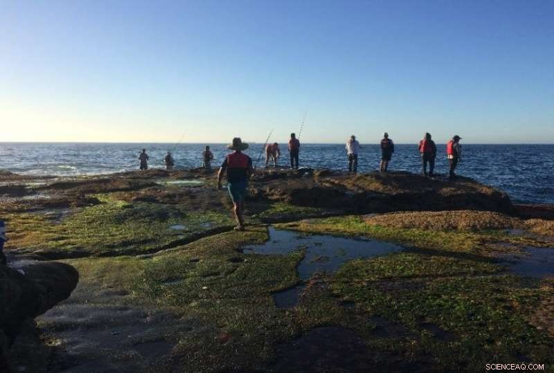 Debunking the Freak Wave Myth: What You Need to Know