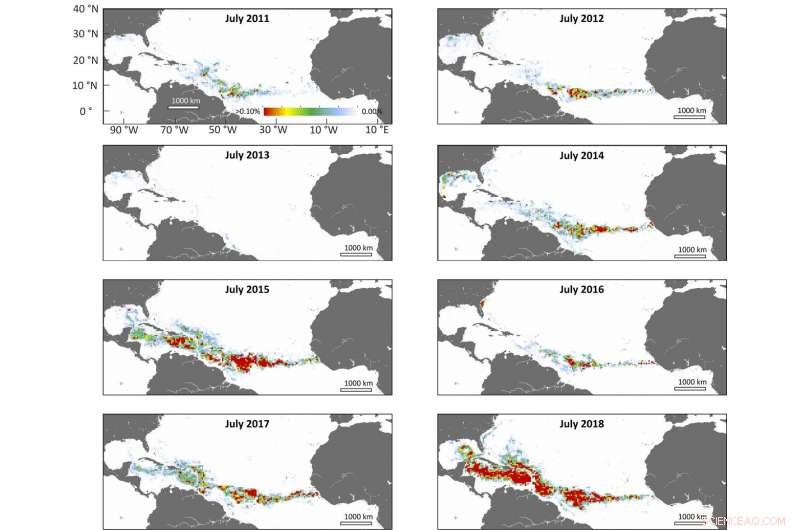 Scientists Discover Record-Breaking Global Seaweed Bloom
