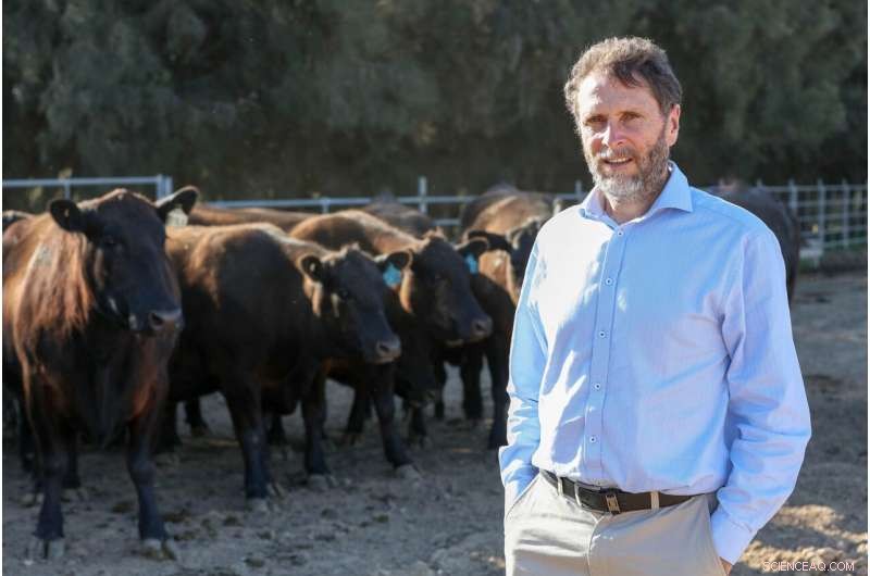 New Breeding Strategy Cuts Cattle Methane Emissions