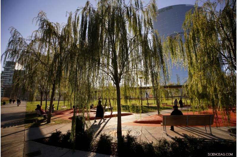 Planting a Trillion Trees: The Proven Strategy to Combat Climate Change