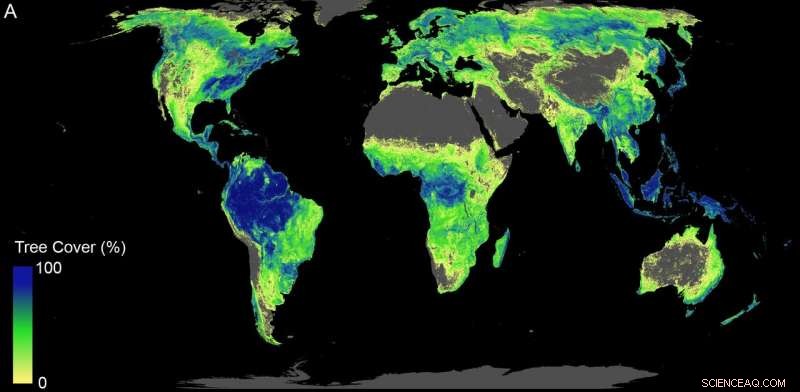 Planting a Trillion Trees: The Proven Strategy to Combat Climate Change