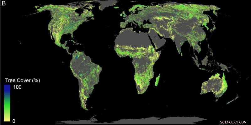 Planting a Trillion Trees: The Proven Strategy to Combat Climate Change