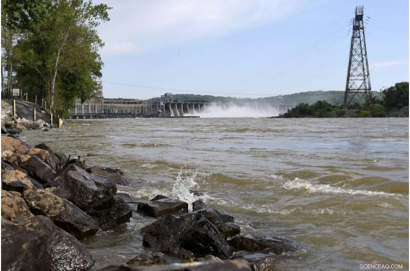 Scientists Warn: Pollution Threatens Chesapeake Bay with Dead Zone