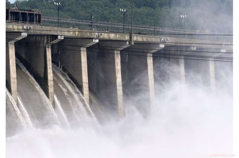 Scientists Warn: Pollution Threatens Chesapeake Bay with Dead Zone