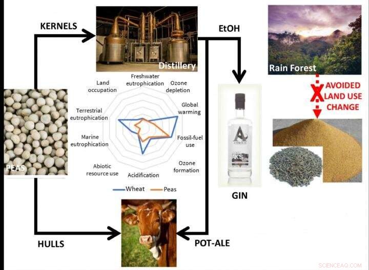 Pea‑Powered Gin: A Refreshing, Rainforest‑Friendly Cocktail