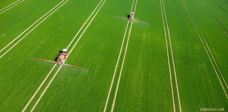 Eight Proven Strategies to Stop the Global Food Crisis