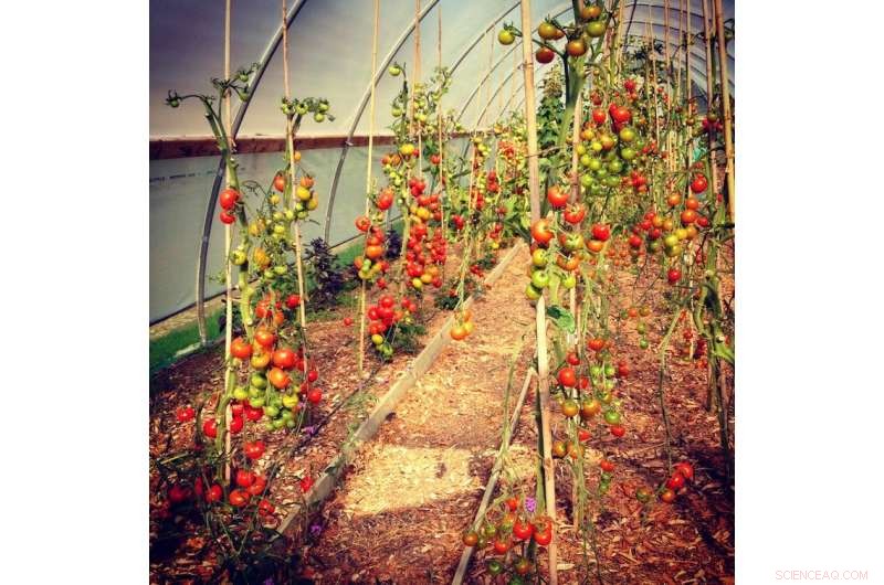 Eight Proven Strategies to Stop the Global Food Crisis