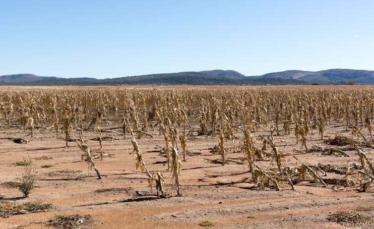 Eight Proven Strategies to Stop the Global Food Crisis