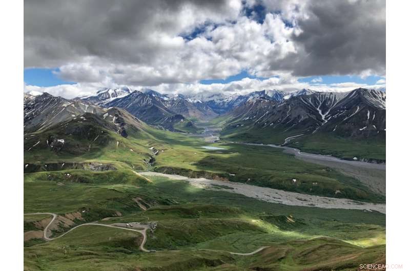 Tundra Warming Triggers Alarming Shifts in Microbial Communities