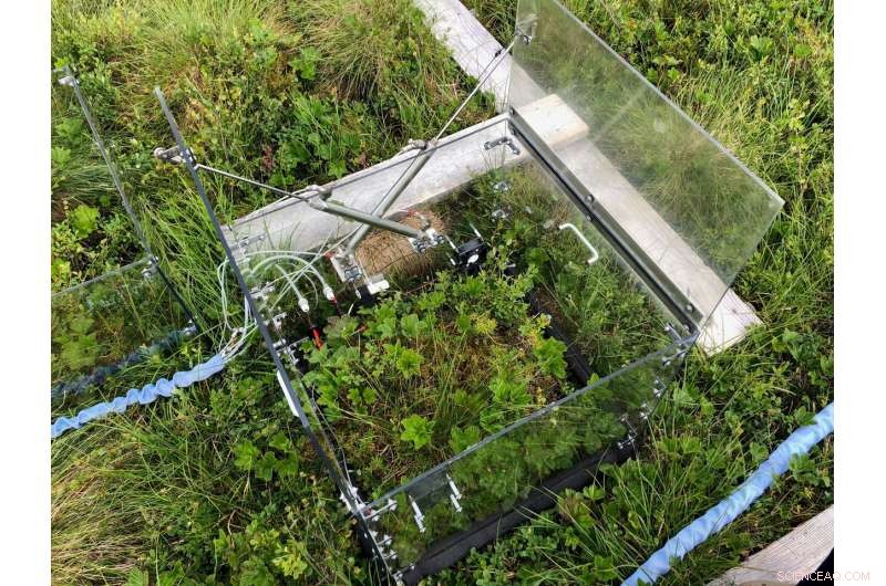 Tundra Warming Triggers Alarming Shifts in Microbial Communities