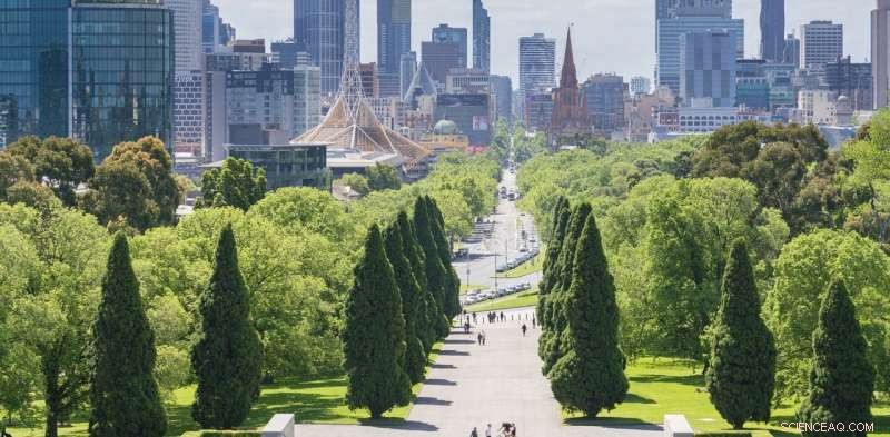 Scaling Green Cities: Leveraging Local Success Stories for Global Impact