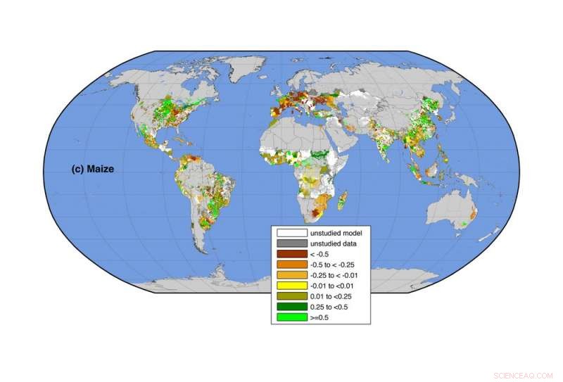 Climate Change Threatens Crop Yields and Global Food Security